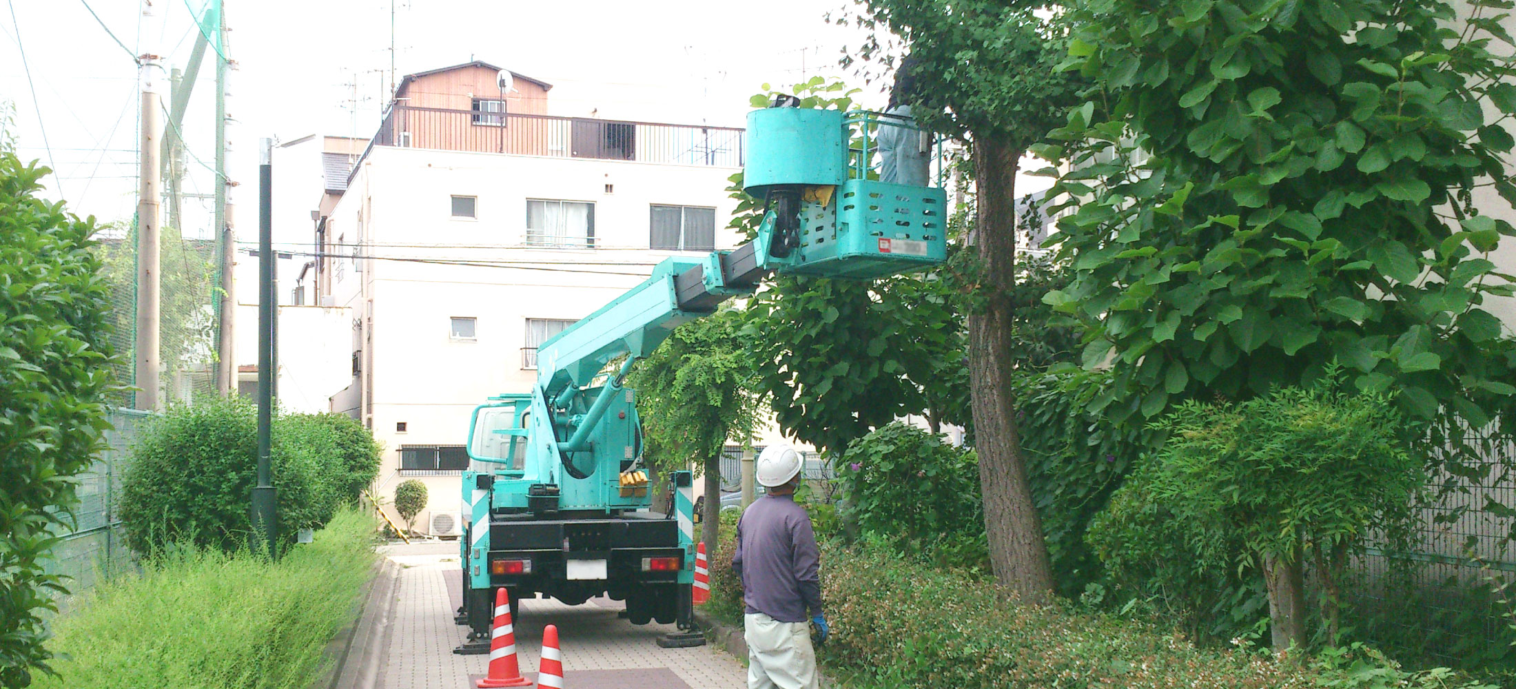 フジ造園土木の緑化工事