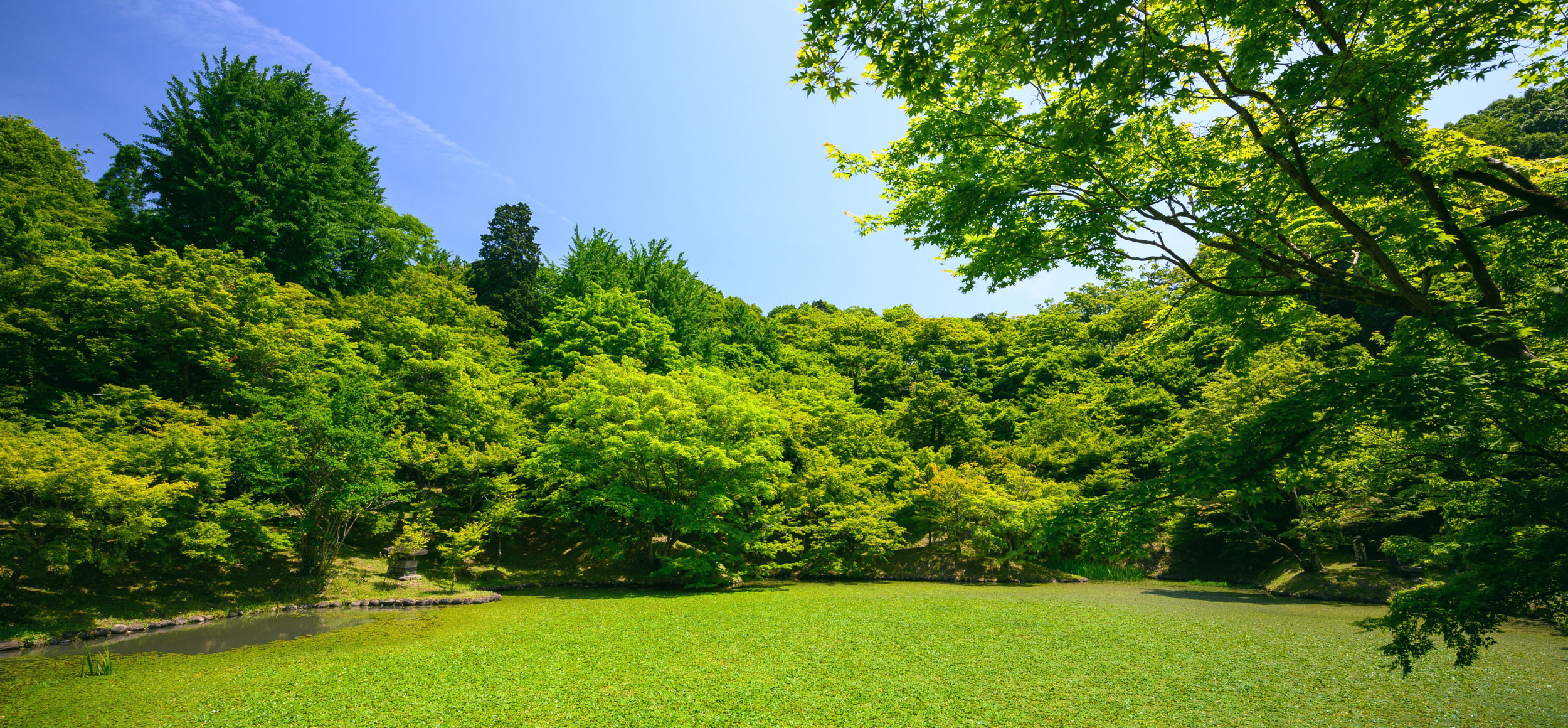 公園整備と造園工事のフジ造園土木