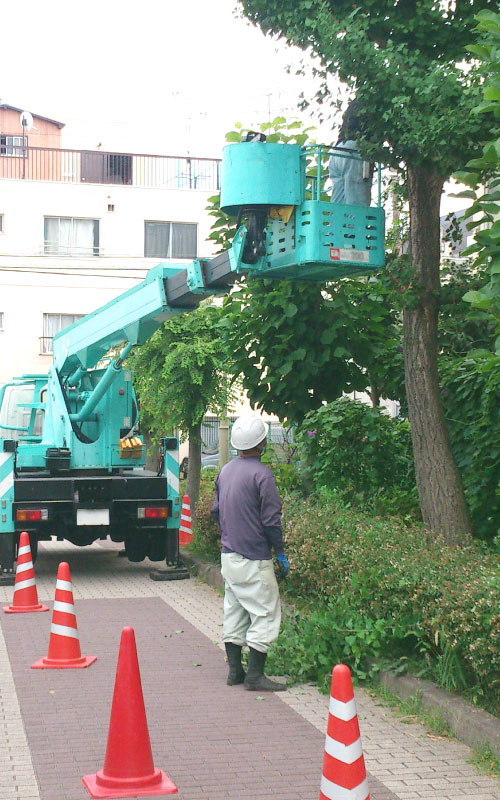 フジ造園の緑化工事